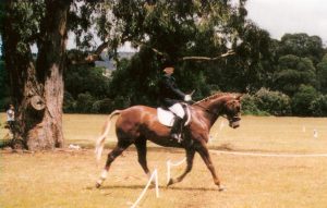 Anne & Harley - competing Elementary EFA at Shirley Heights