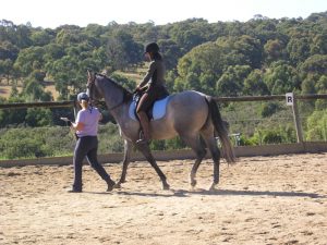 Backed for the first time Feb 2008 Backed for the first time Feb 2008