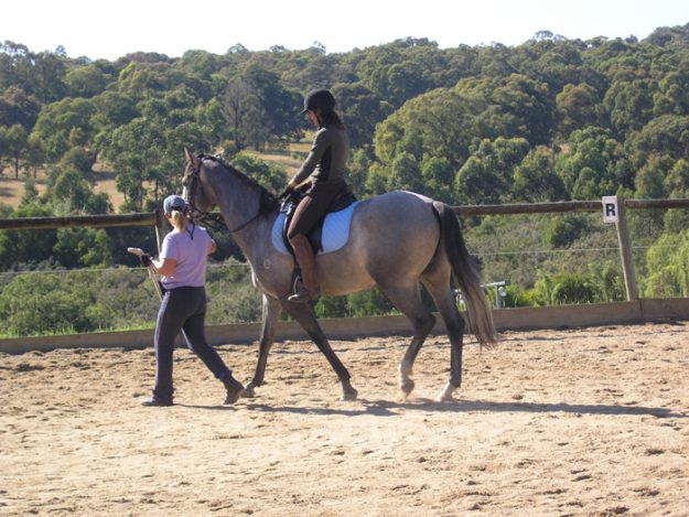 Backed for the first time Feb 2008