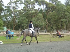 First dressage competition over 65%. Very Happy First dressage competition over 65%. Very Happy