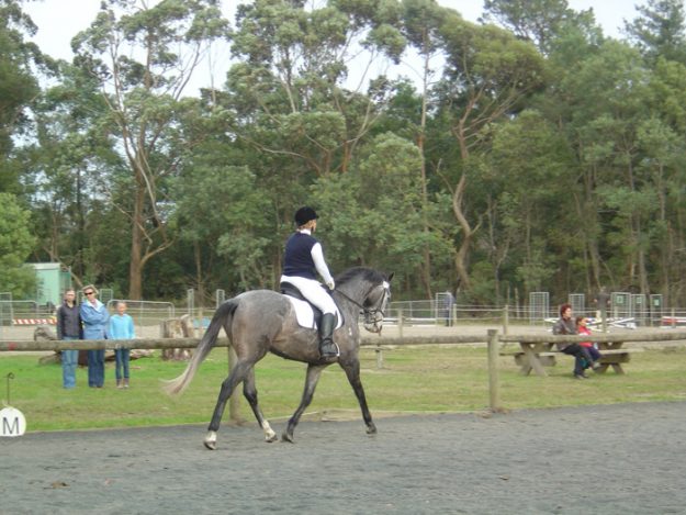 First dressage competition over 65%. Very Happy