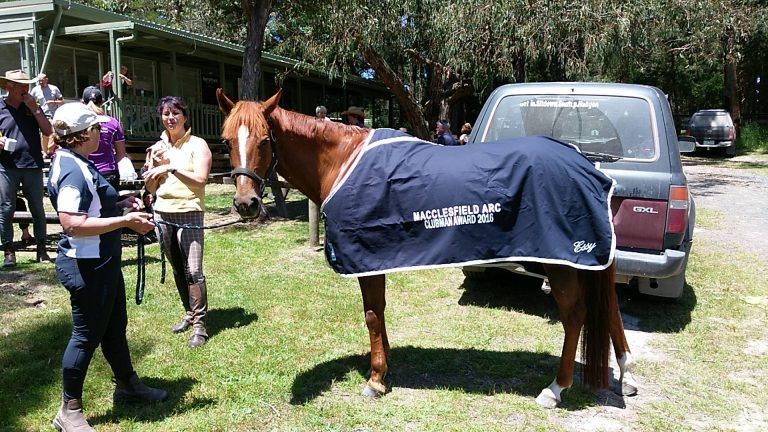 Macclesfield Adult Riding Club