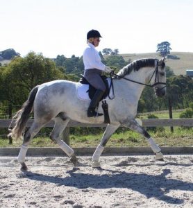 Orlando Trot as a 7 year old Orlando Trot as a 7 year old