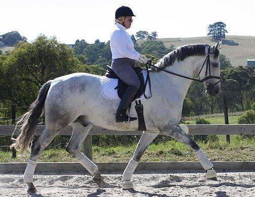 Orlando-working-uphill-hero Orlando-working-uphill-hero