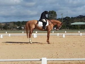 Rukshi and Blutigeroo - 2