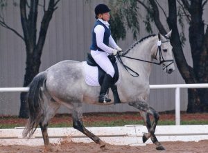 TT Dressage 5th Level 2