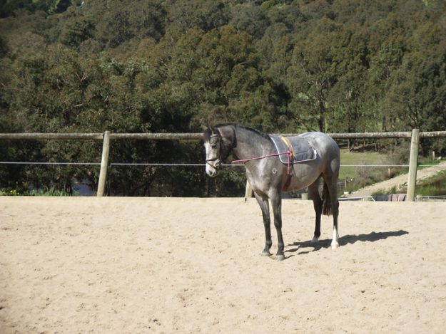 With mouthing gear on Jan 2008