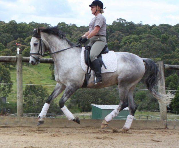 Working at home in canter